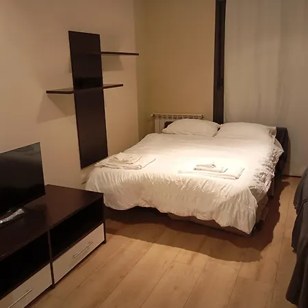 公寓 Entrego Centro O *